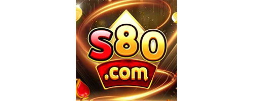Logo VIVO500