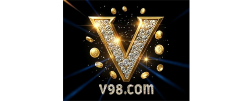 Logo VIVO500